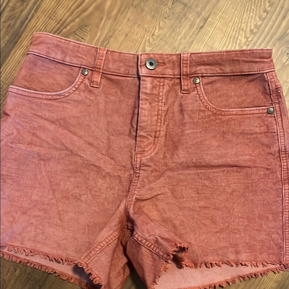 Carve Designs Oahu 4” high rise rust corduroy shorts size 4